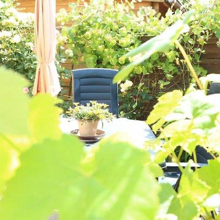 Ferienwohnung Tschitschmann 萨勒河畔瑙姆堡 外观 照片